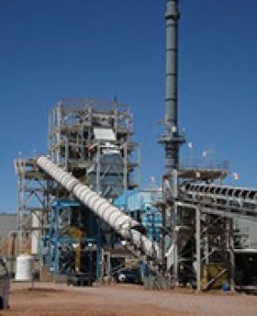 snowflake-20biomass-280154x231