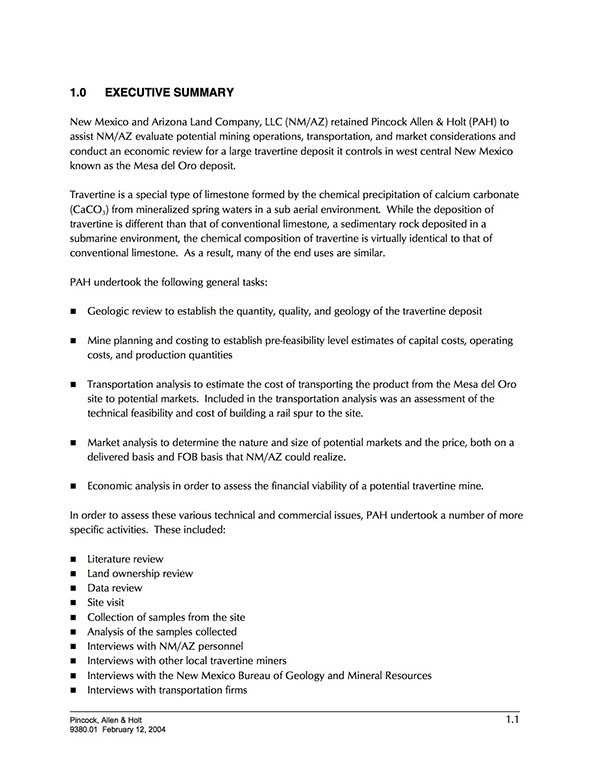 pincockreport_5